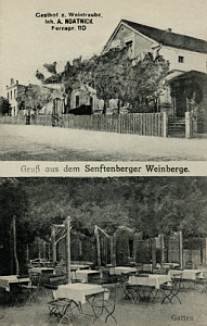 Senftenberg